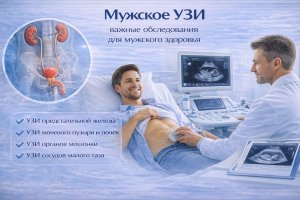 Мужское УЗИ: какие исследования проводят мужчинам, что они показывают и почему ультразвуковая диагностика важна не только при жалобах